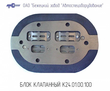 Блок клапанный К24.01.00.100